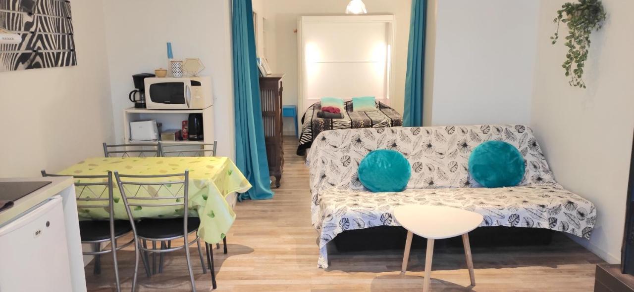 Grand Studio Cahors Centre Rdc Proche Gare Pont Valentre 아파트 외부 사진